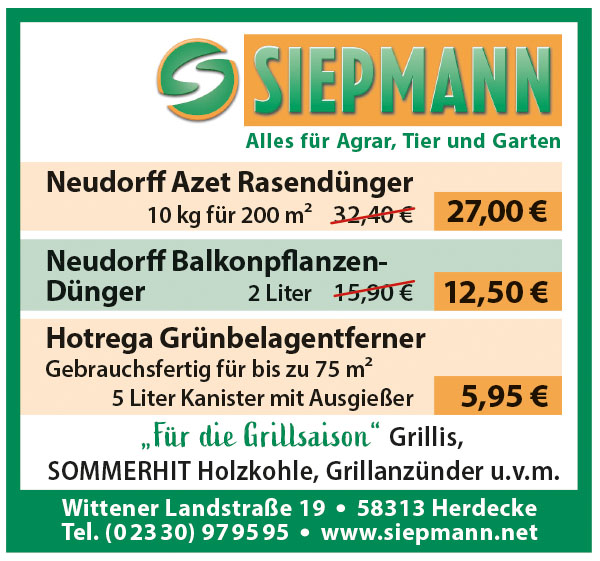 Artikel 